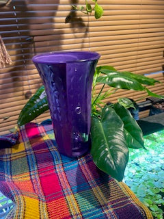 Rubber Tree (Moonshine)